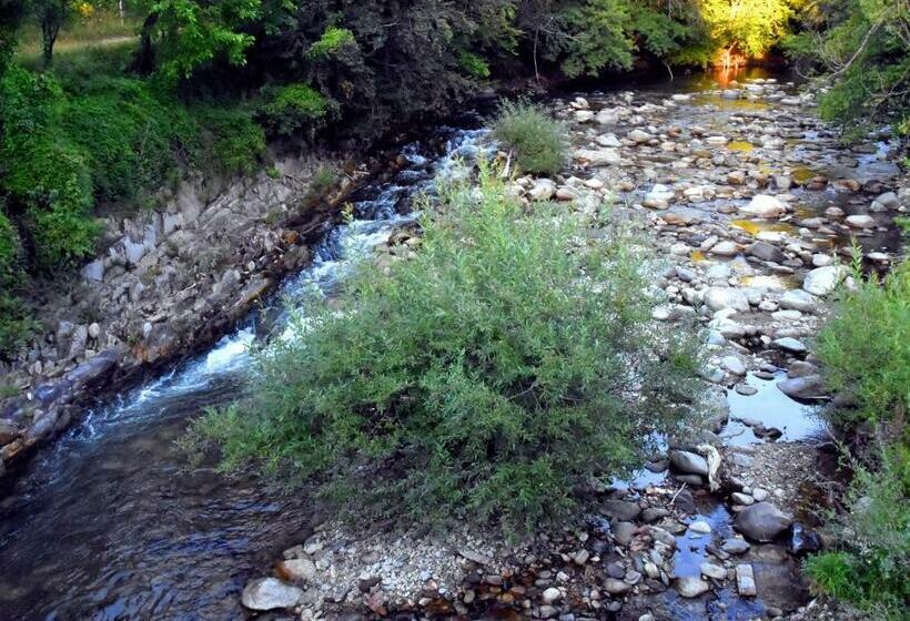 Дом 1 Спальня, стаи за гости тони