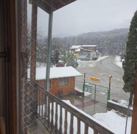 Дом 1 Спальня, стаи за гости тони