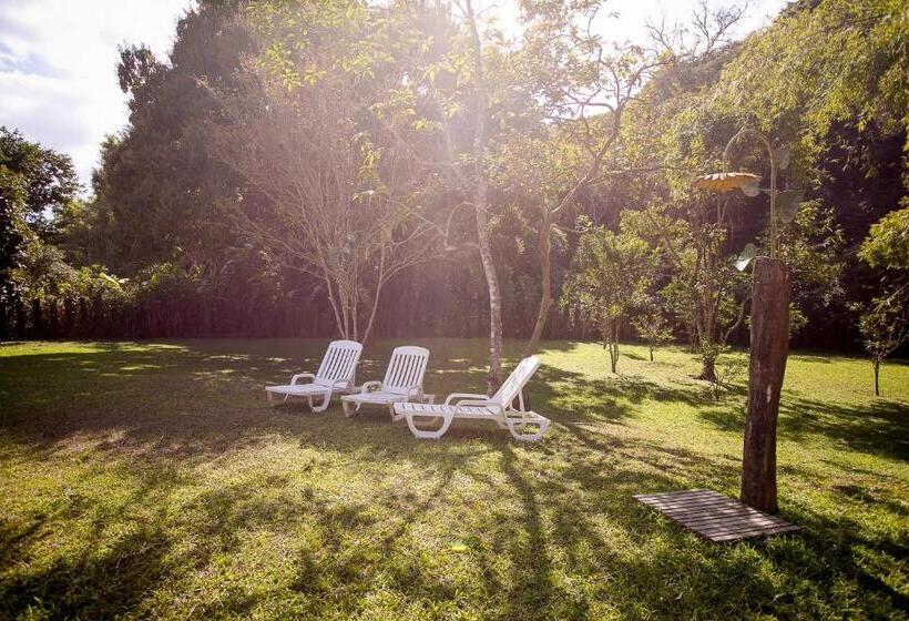 سوییت اجرایی, Pouso Do Bichinho 1