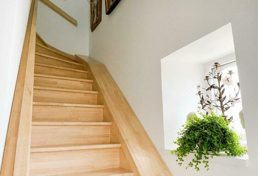 海の見えるスタンダードスタジオ, Chambre Appartement