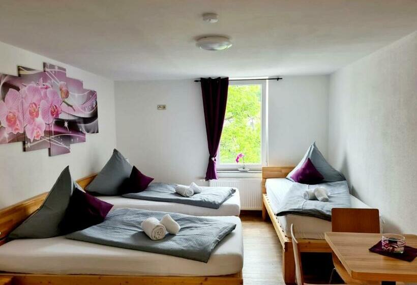 اتاق استاندارد با سرویس بهداشتی مشترک, My Hostel Füssen