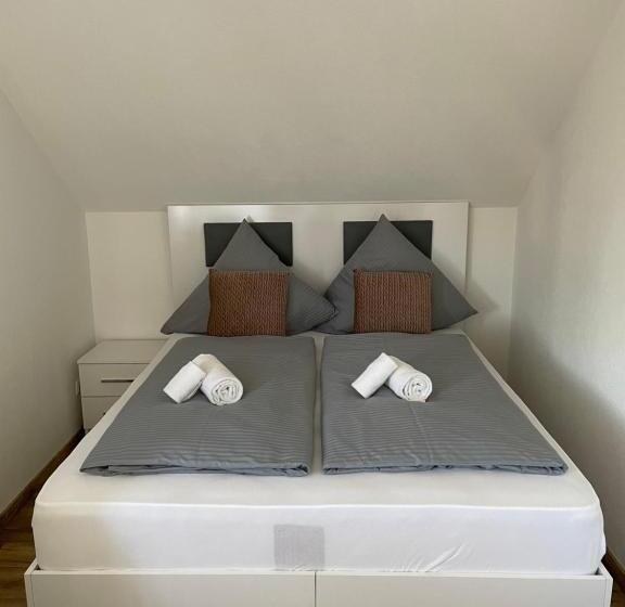 اتاق استاندارد با سرویس بهداشتی مشترک, My Hostel Füssen