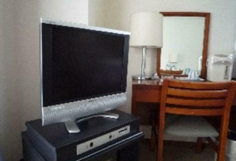 استودیوی استاندارد, Sky Heart Hotel Kawasaki / Vacation Stay 80810