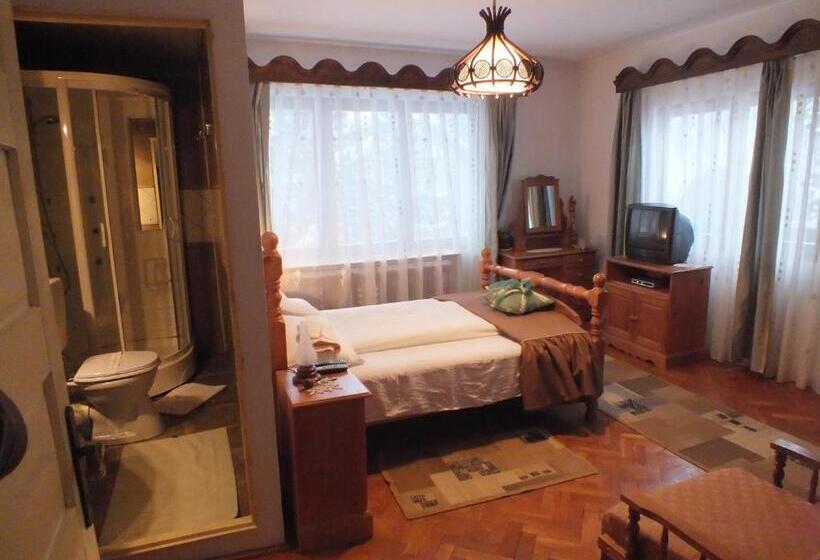 Номер Стандарт с Балконом, Pensiunea Aurora Albac