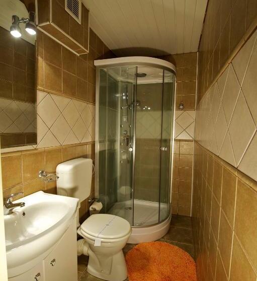 חדר סטנדרט, Pensiunea Aurora Albac