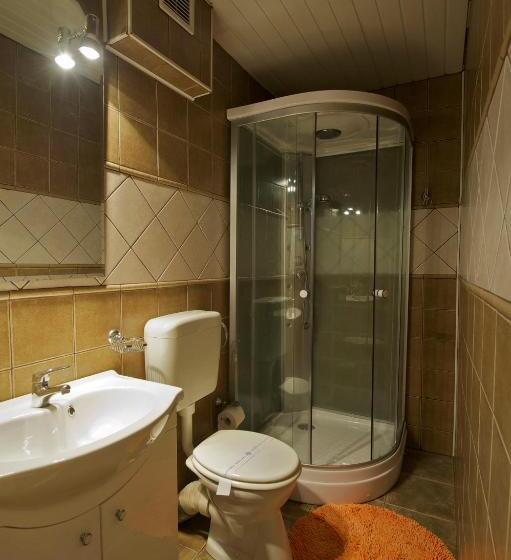 חדר סטנדרט, Pensiunea Aurora Albac