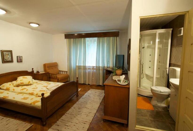 חדר סטנדרט, Pensiunea Aurora Albac