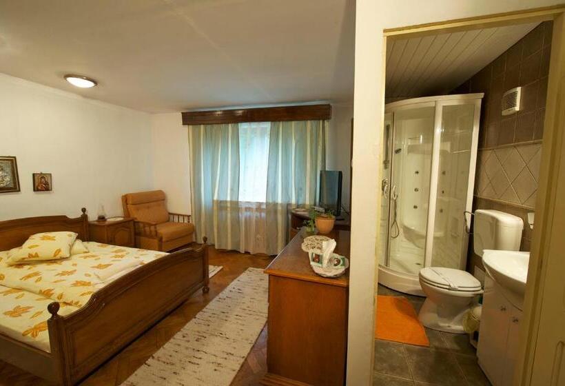 חדר סטנדרט, Pensiunea Aurora Albac