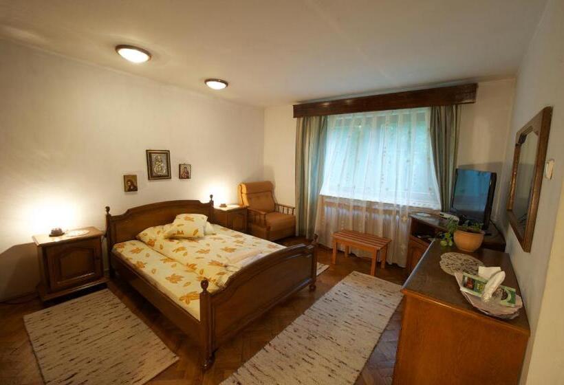 חדר סטנדרט, Pensiunea Aurora Albac