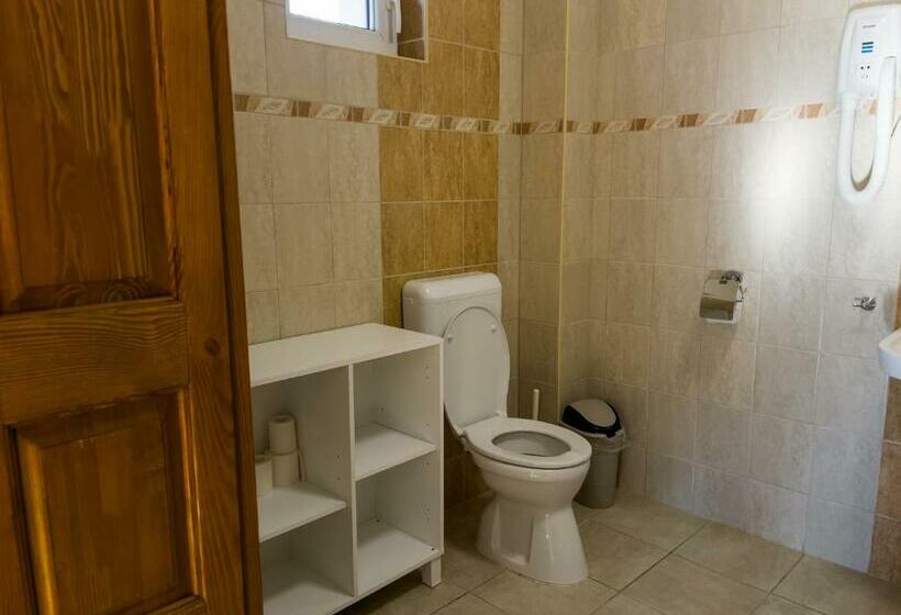 Номер Стандарт, Mamutfenyő Panzió