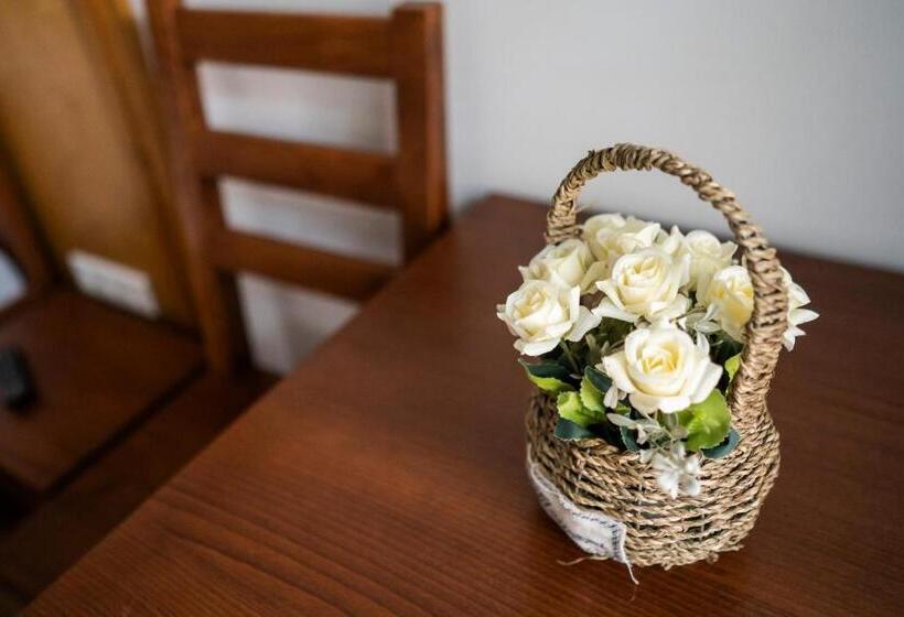 Номер Стандарт, Mamutfenyő Panzió