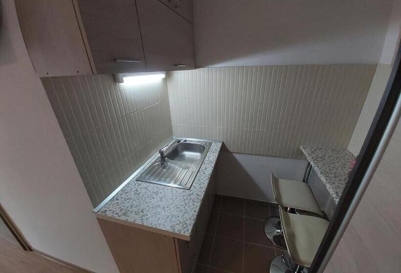 Номер Стандарт, Mamutfenyő Panzió