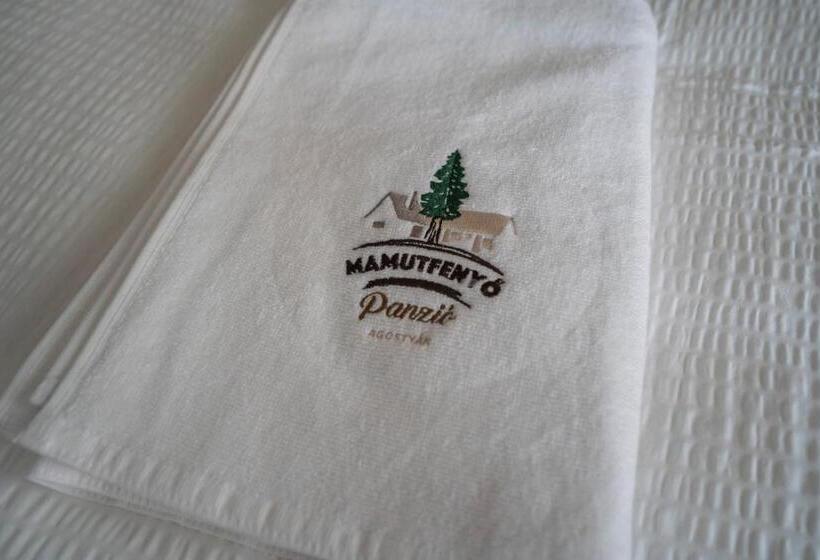 Номер Стандарт Индивидуальный, Mamutfenyő Panzió