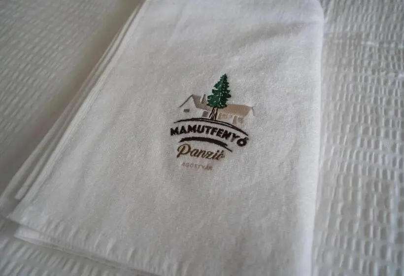スタンダードシングルルーム, Mamutfenyő Panzió