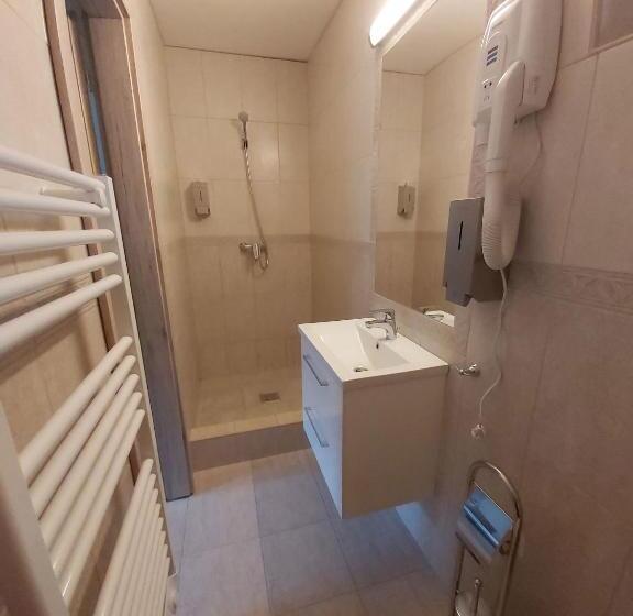 Номер Стандарт Индивидуальный, Mamutfenyő Panzió