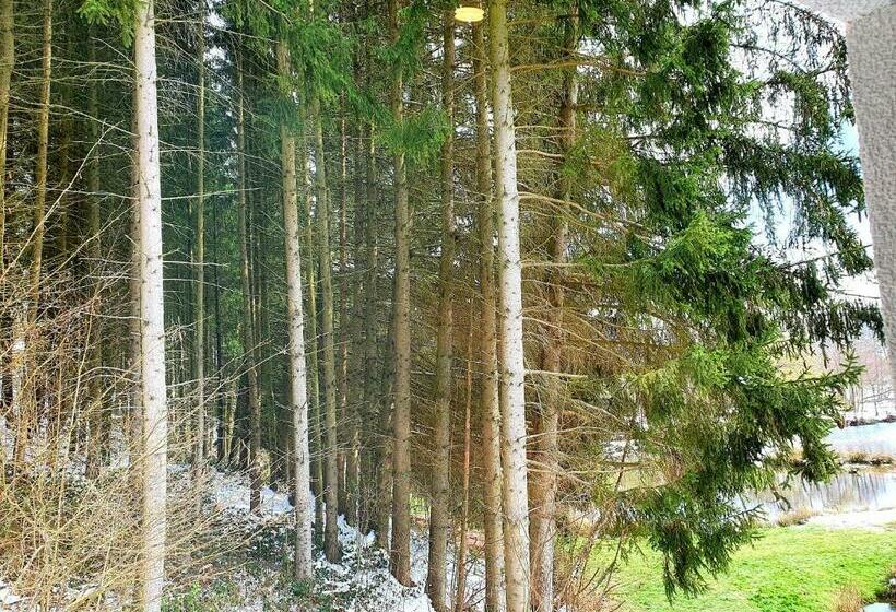 스탠다드 룸, Les étangs Du Thioux Guest House