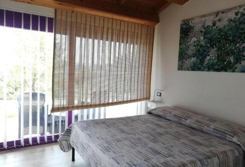 غرفة قياسية, Limbara Dreaming