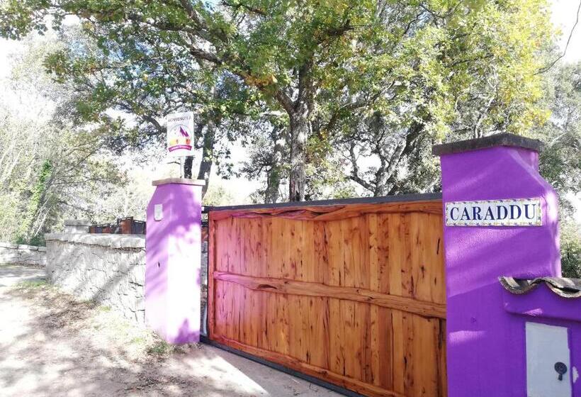 غرفة قياسية, Limbara Dreaming