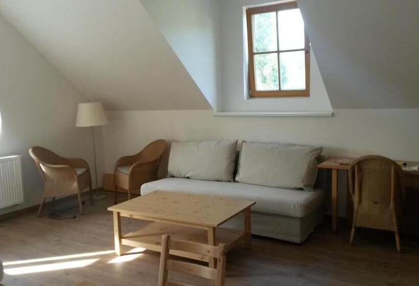 １ベッドルームアパートメント, Penzion červená Voda  Penzion S Dotekem Dálek