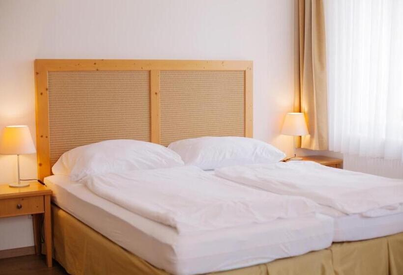 דירת חדר, Penzion červená Voda  Penzion S Dotekem Dálek