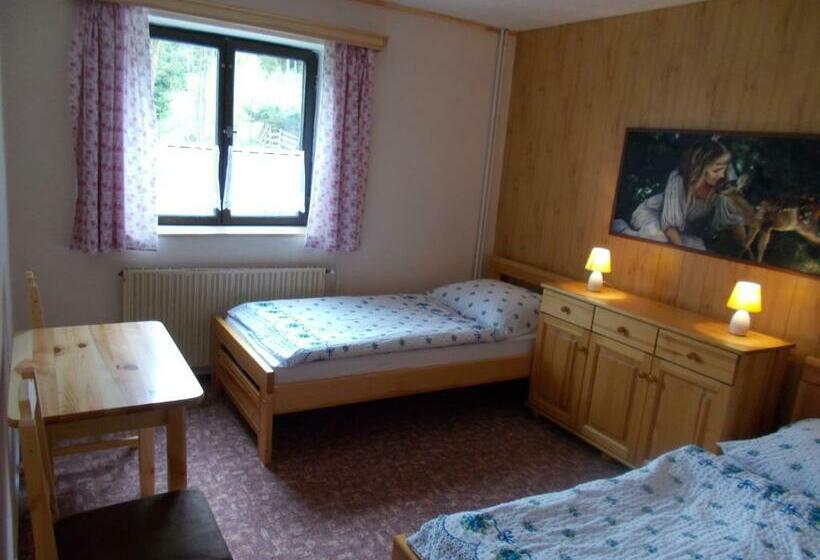 חדר סטנדרט, Pension Tara