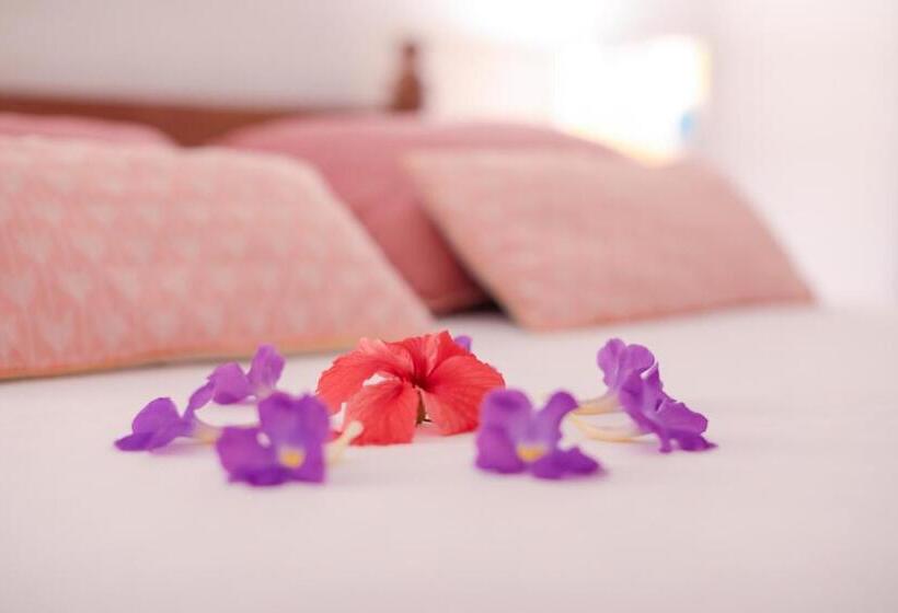 סוויטה נוף לגינה, Pousada Patacho