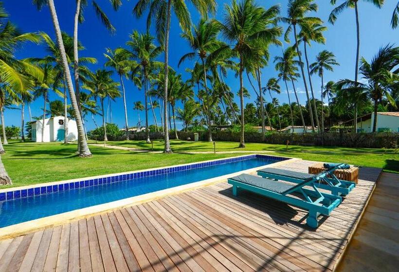 סטודיו דלוקס, Pousada Patacho