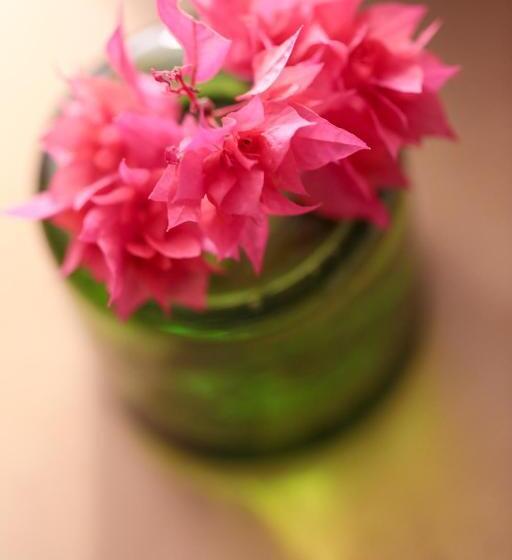 סוויטה נוף לים, Pousada Patacho