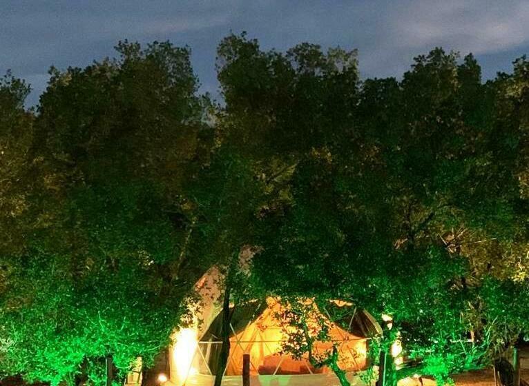 חדר דלוקס, Aquamare Beach Camp Resort