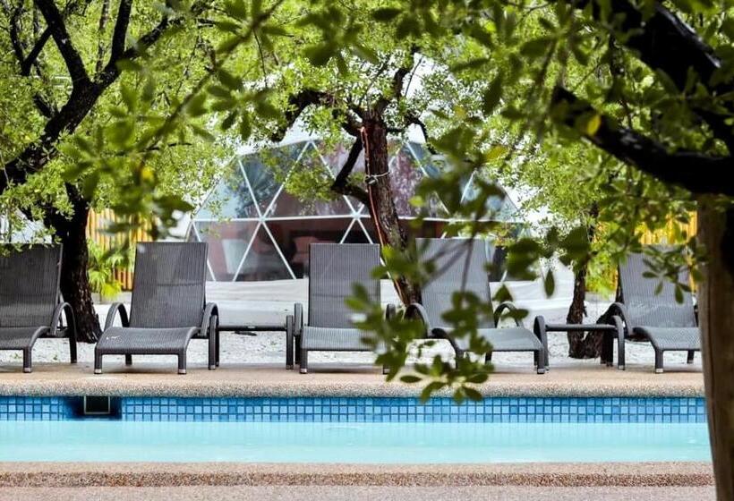 Стандартный Номер Кровать Кинг, Aquamare Beach Camp Resort