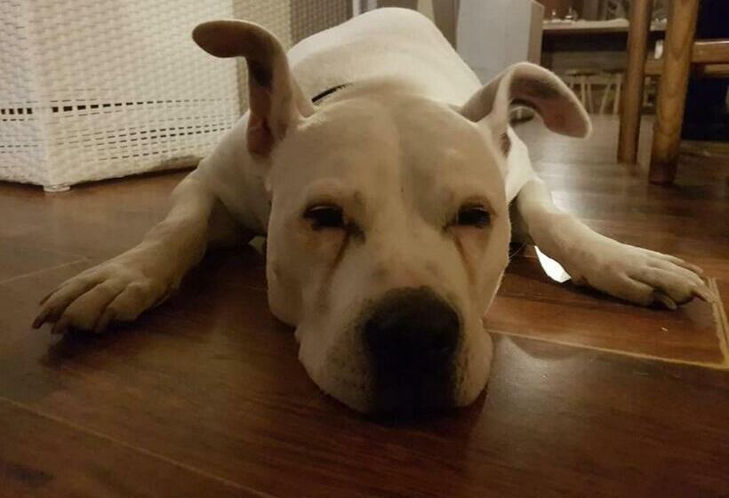 스탠다드 룸 호수 전망, Bed & Breakfast Bellagio