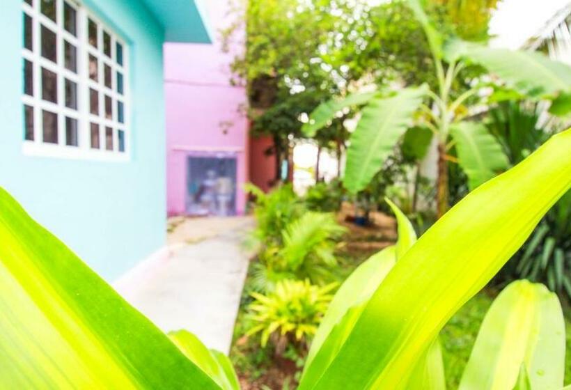 غرفة قياسية ثلاثية, Siyan Ka An Bak Halal