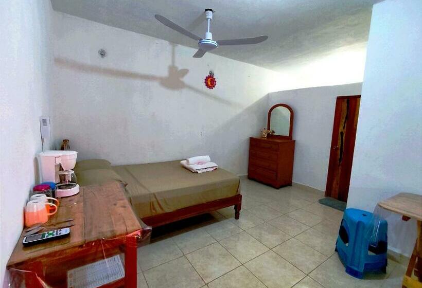 اتاق استاندارد, Casa Coral