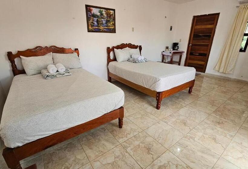 اتاق کلاسیک چهارنفره, Casa Coral