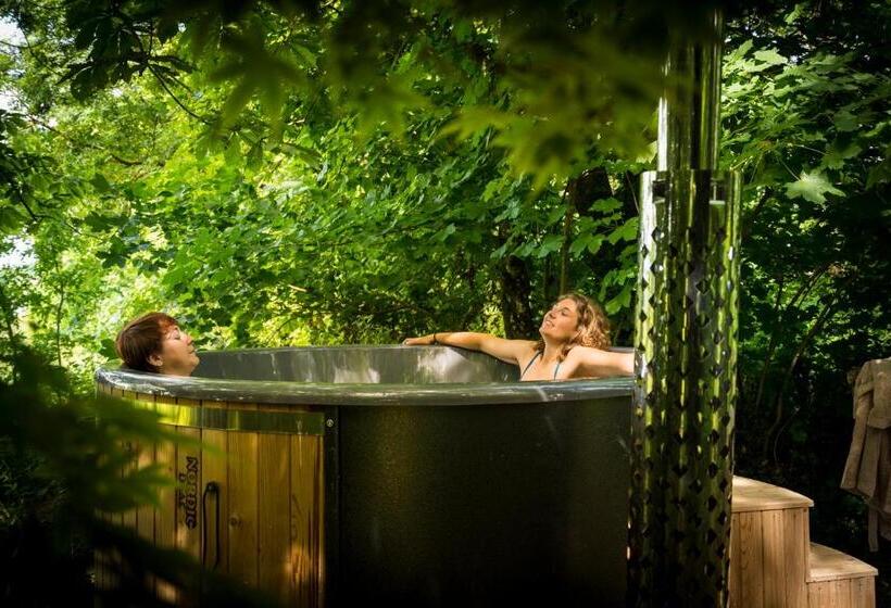 غرفة قياسية مزوَّدة بجاكوزي, Château De La Tourlandry