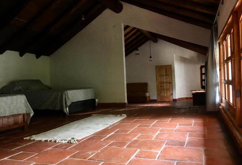 חדר סטנדרט לארבעה, Del Rio