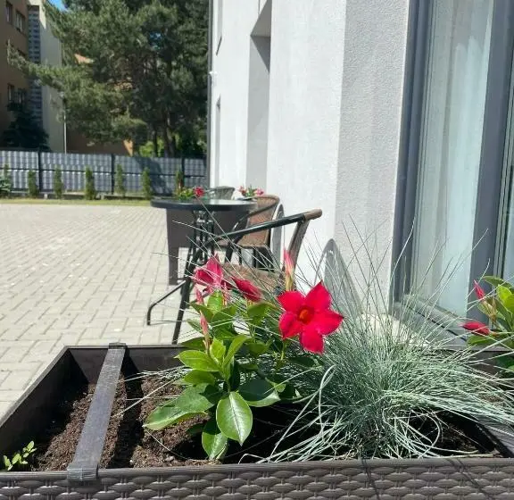 اتاق اکونومی, Izabelės Apartamentai