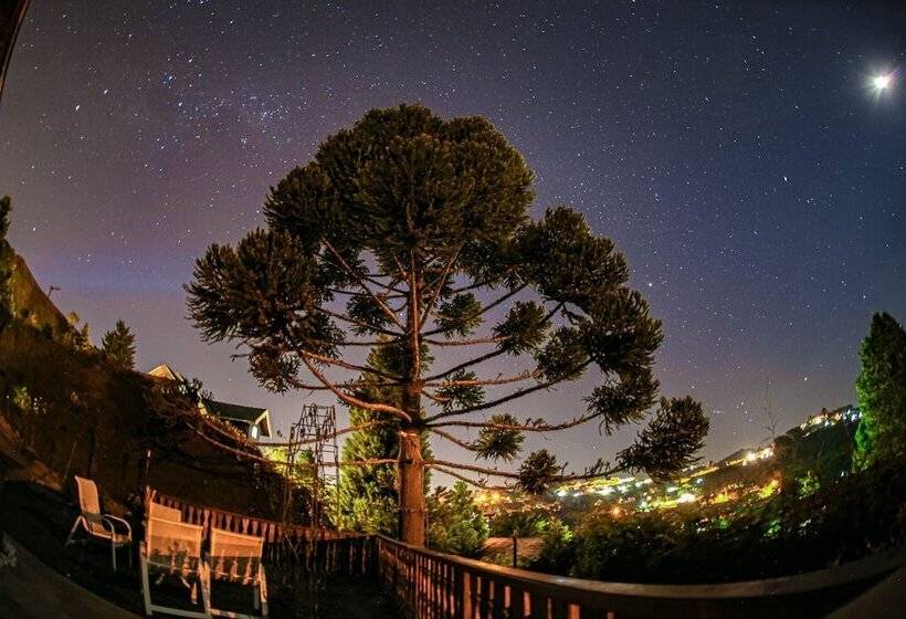 سوییت, Mansao Austriaca Guesthouse