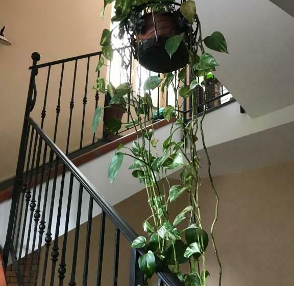 标准间, B&b La Magnolia