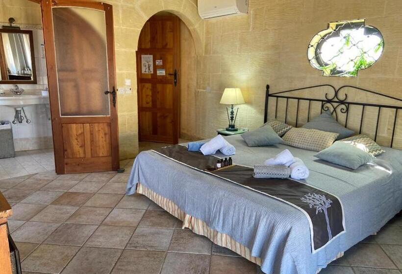 اتاق استاندارد با چشم‌انداز دریا, Botanica B&b