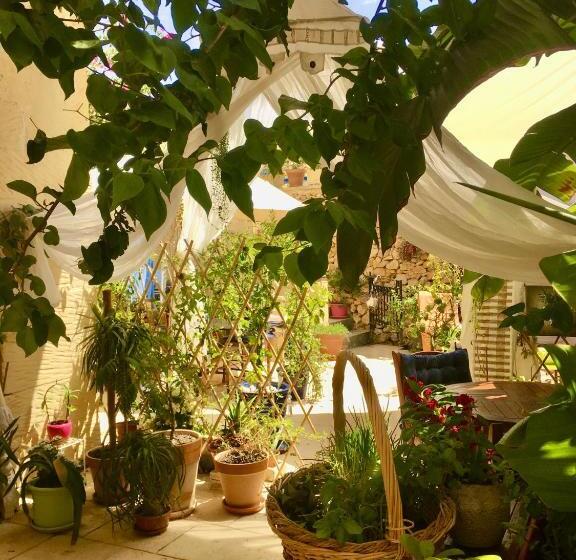 اتاق استاندارد, Botanica B&b