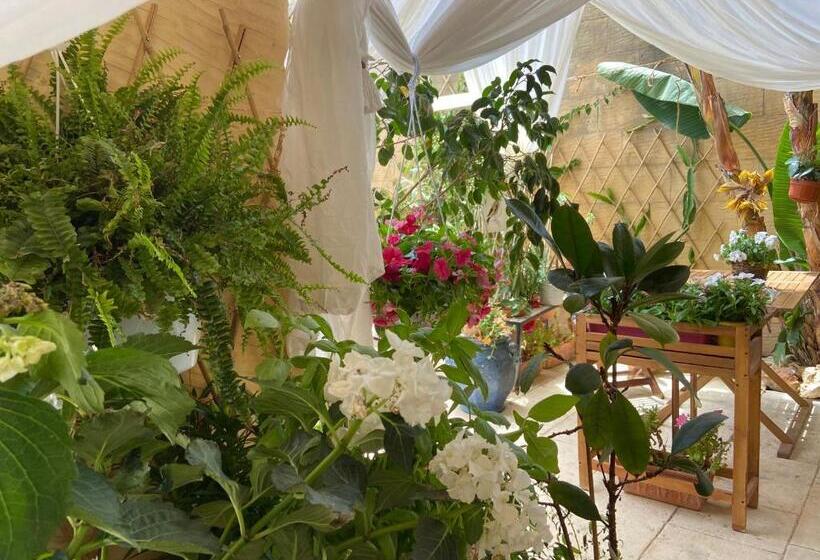 ویلای یک اتاق خوابه با استخر شنا, Botanica B&b