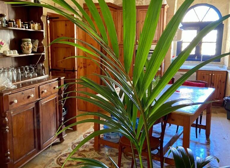 ویلای یک اتاق خوابه با استخر شنا, Botanica B&b