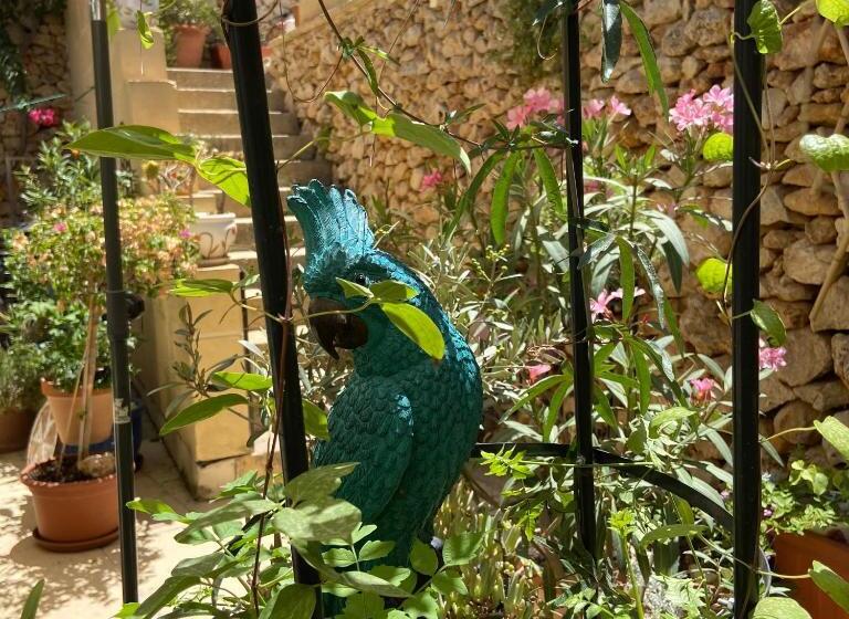 ویلای یک اتاق خوابه با استخر شنا, Botanica B&b