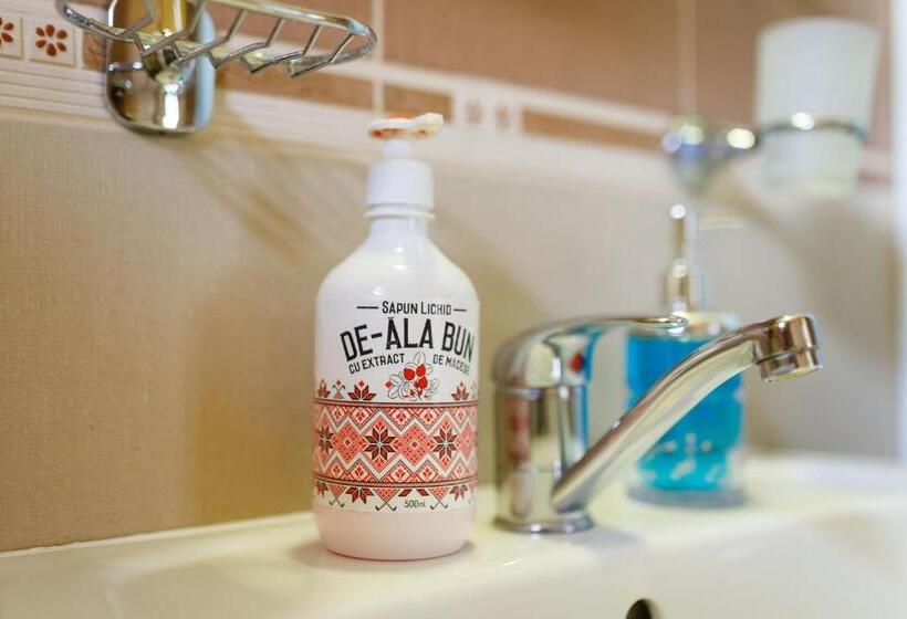 标准三人间, Casa Dacică