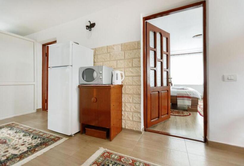 带2个卧室的公寓, Casa Dacică