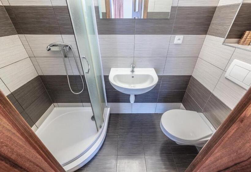 غرفة قياسية سرير كينج, Penzion Na Hradčanech