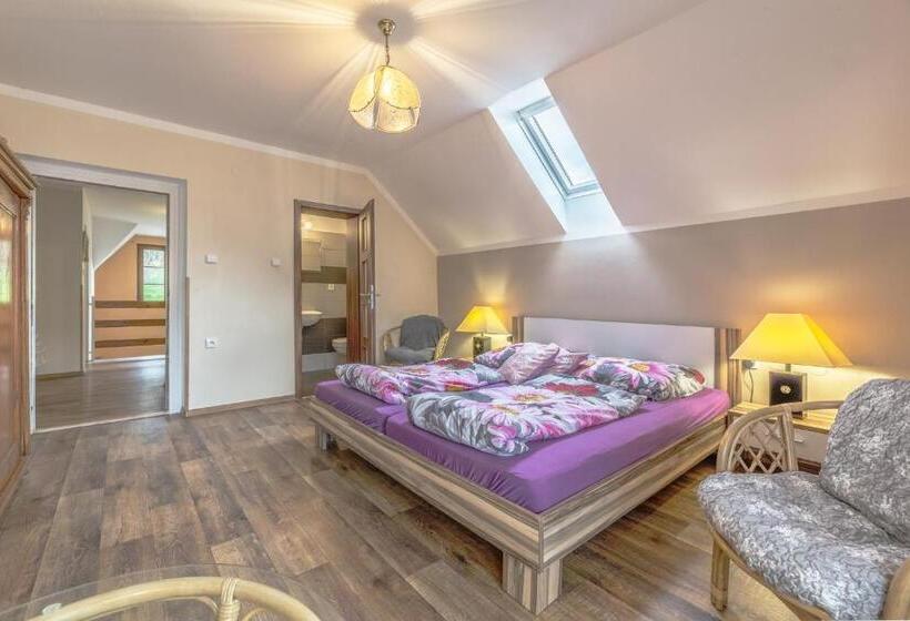 غرفة قياسية سرير كينج, Penzion Na Hradčanech