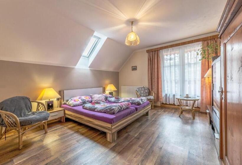 Стандартный Номер Кровать Кинг, Penzion Na Hradčanech