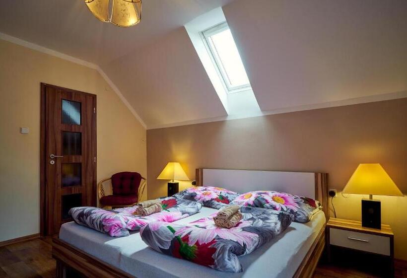 غرفة قياسية سرير كينج, Penzion Na Hradčanech